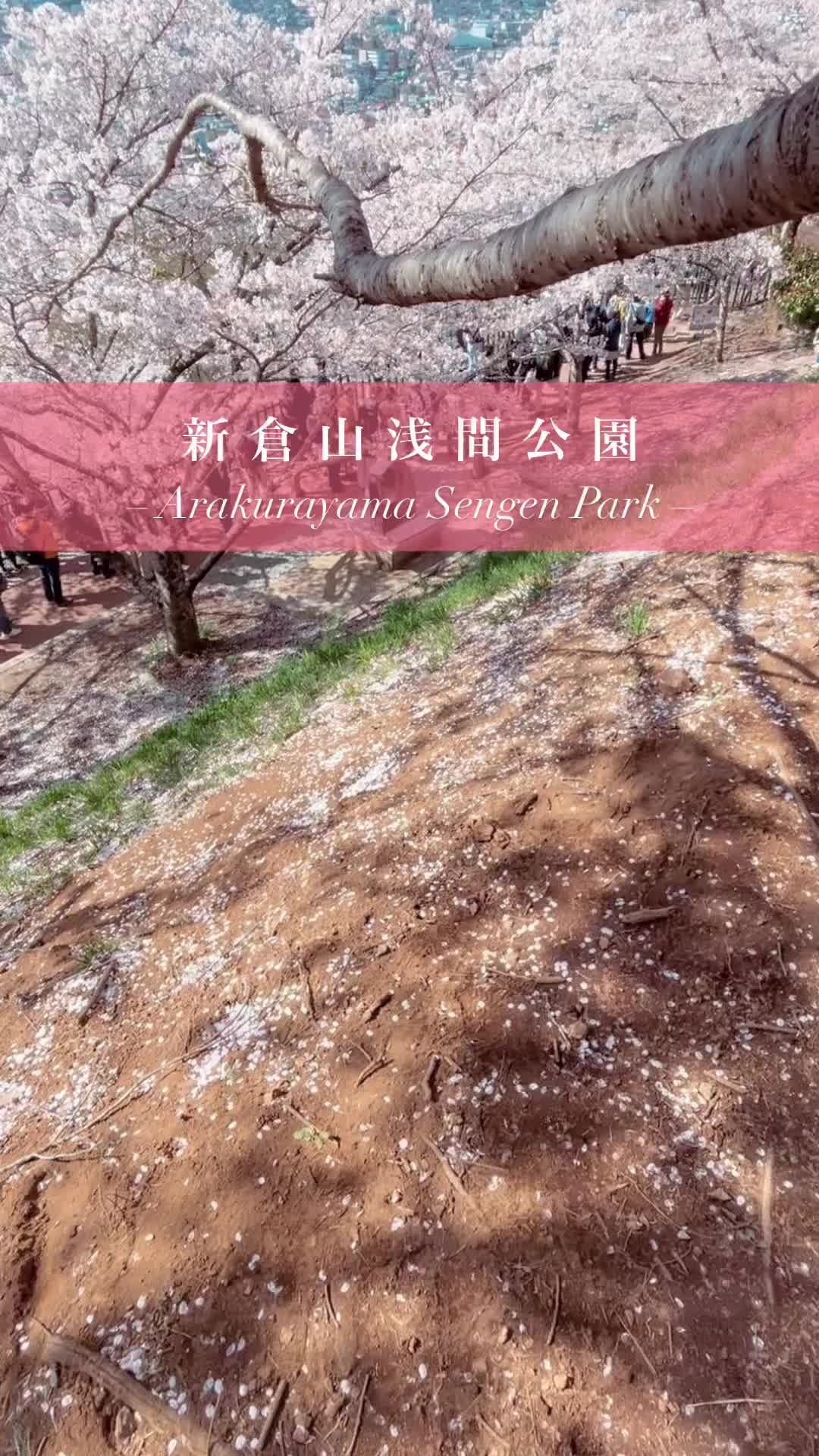 新倉山淺間公園 | 去趣 chicTrip