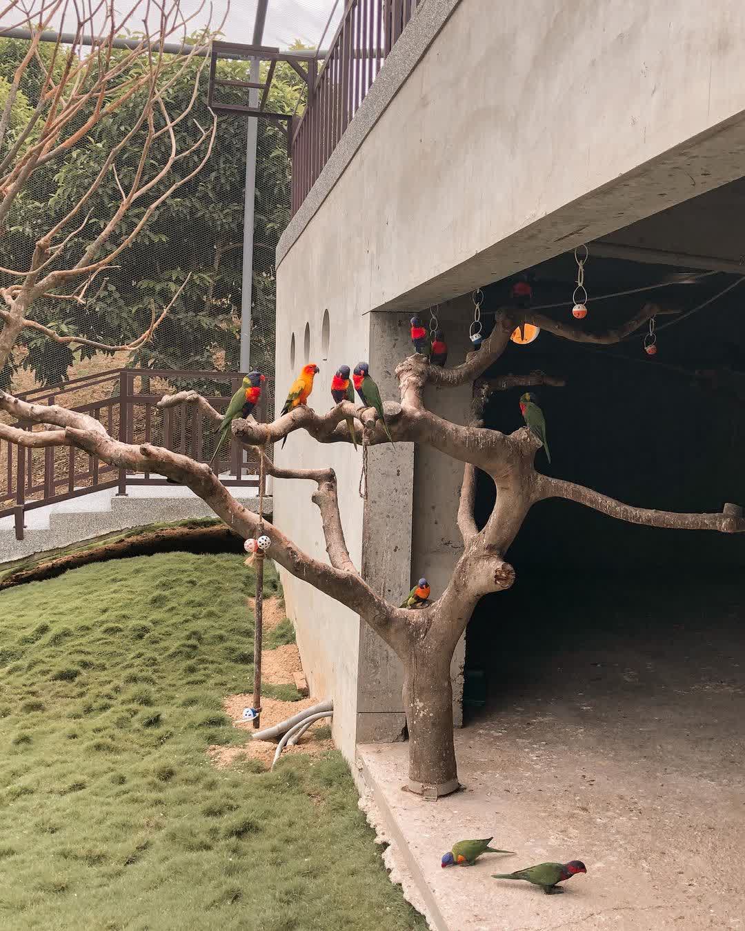 九九峰動物樂園 | 去趣 chicTrip