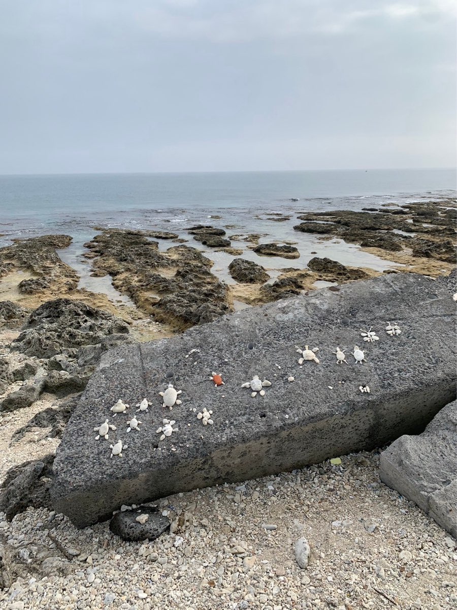 網美老木 | 去趣 chicTrip