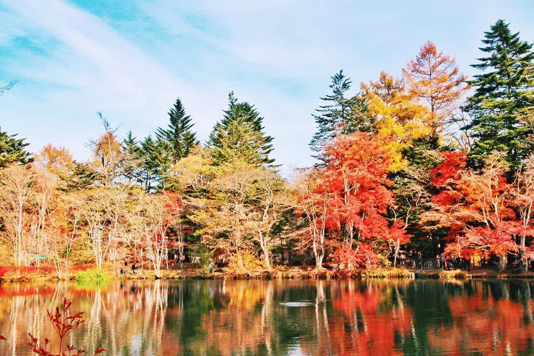Kumoba Pond | 去趣 chicTrip