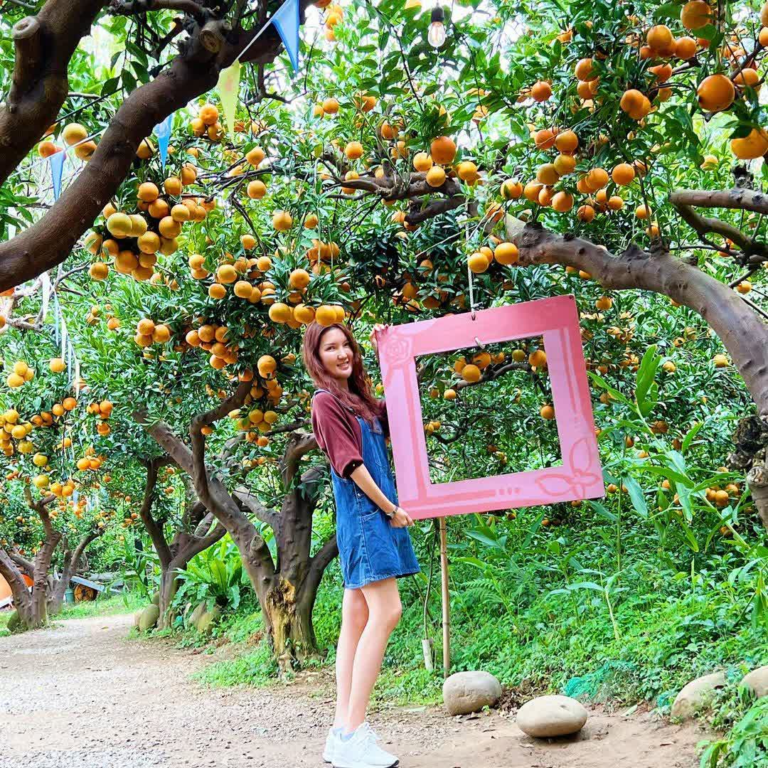 橙香森林 | 去趣 chicTrip