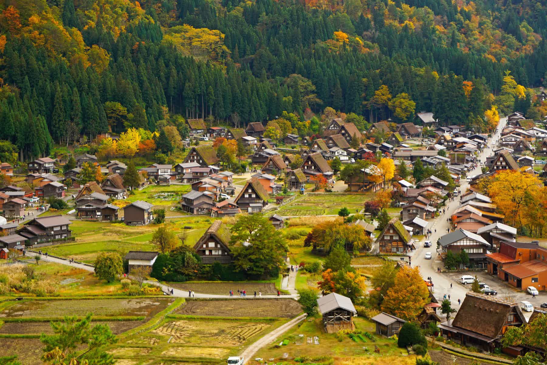 天守閣展望台 | 去趣 chicTrip