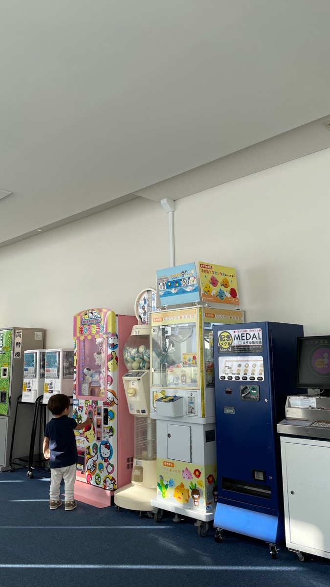 新江之島水族館 | 去趣 chicTrip