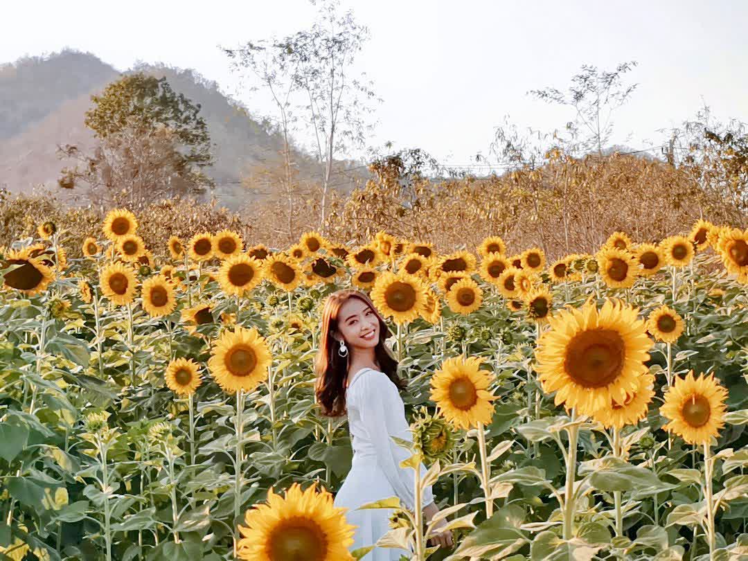 考艾國家公園 | 去趣 chicTrip