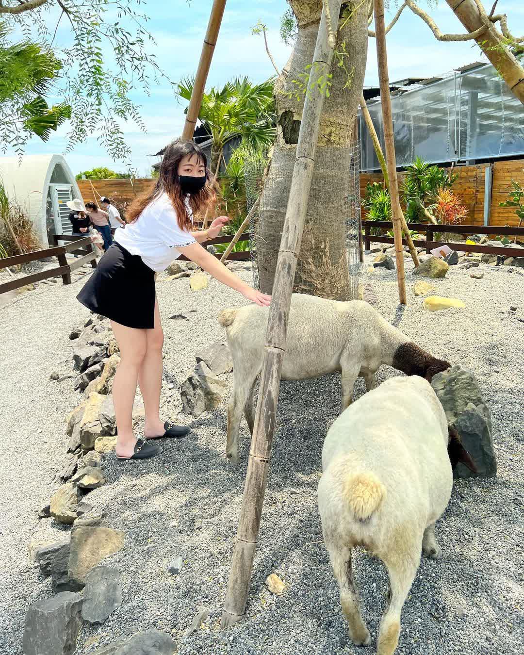 回巢農場 | 去趣 chicTrip