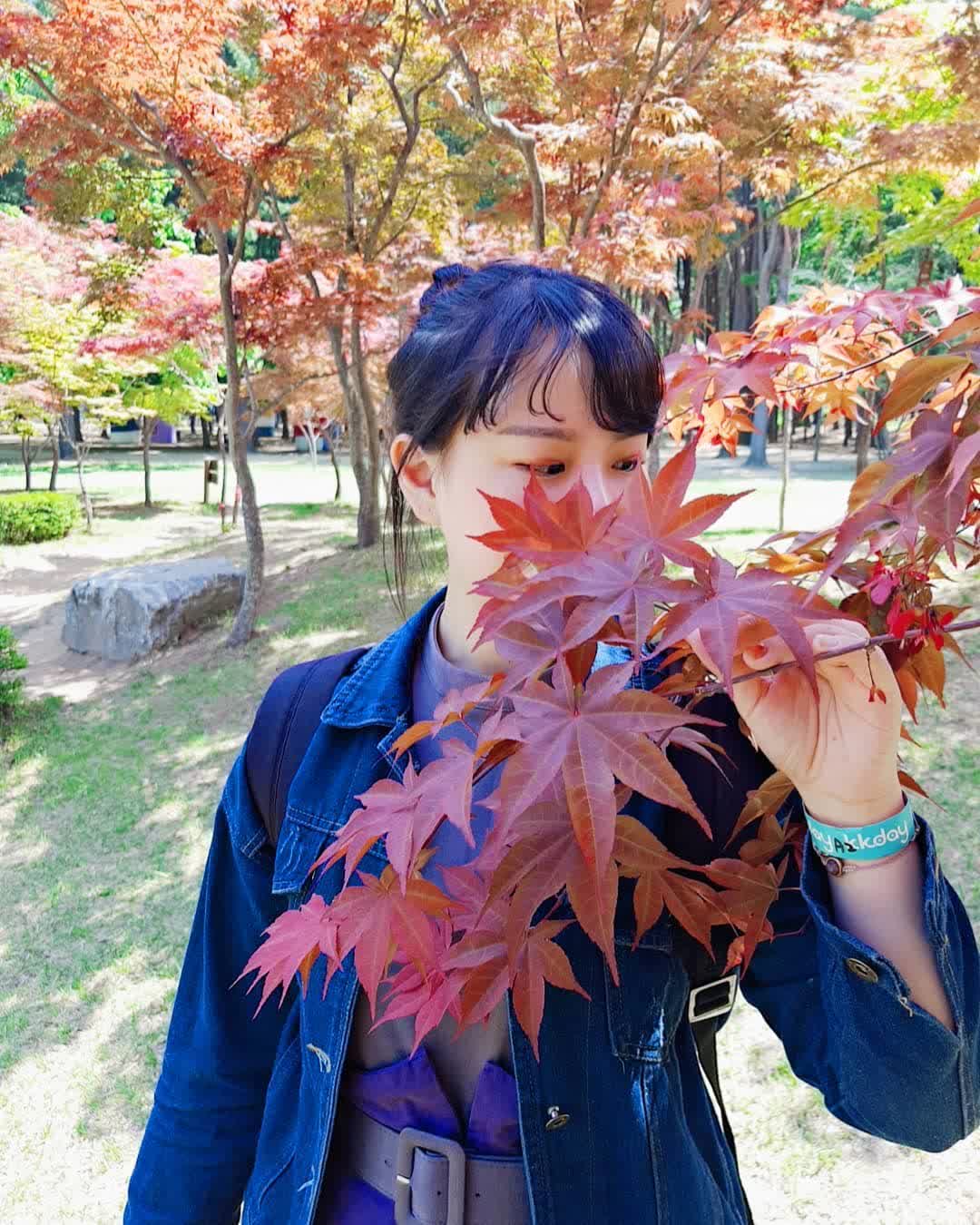 南怡島남이섬 | 去趣 chicTrip