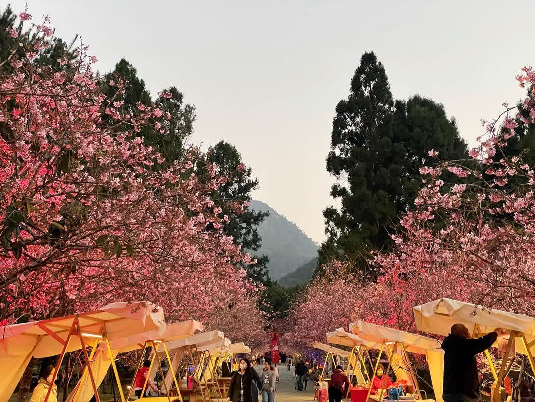 九族文化村 | 去趣 chicTrip