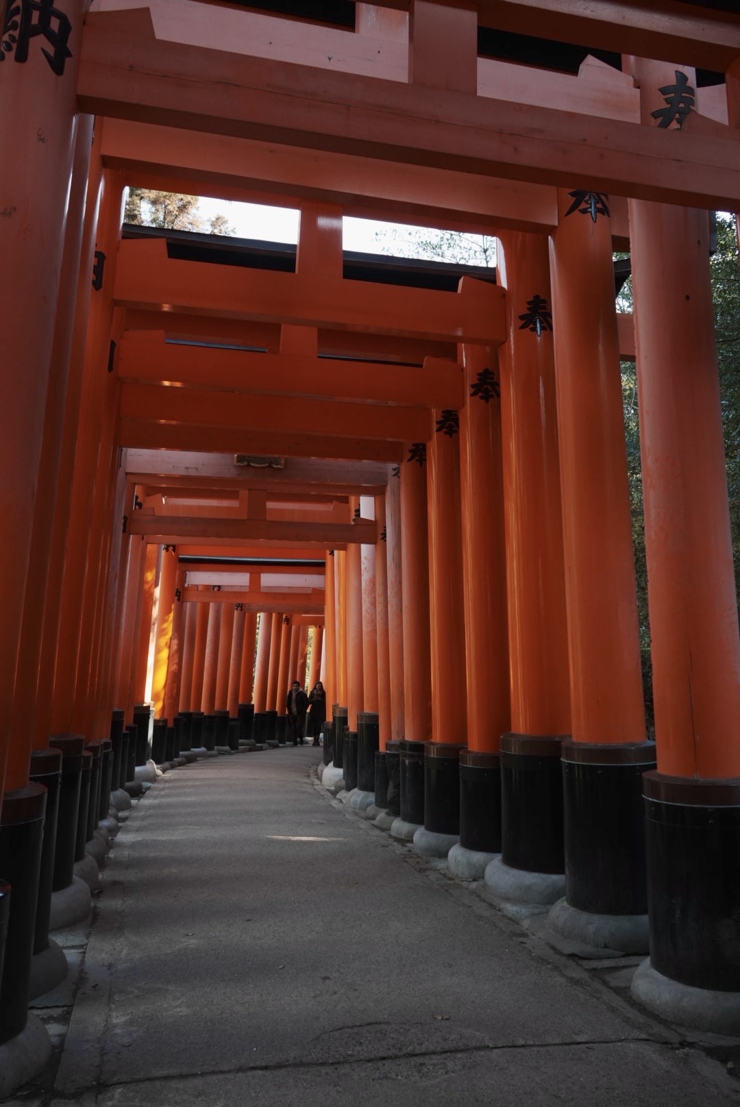 伏見稻荷大社 | 去趣 chicTrip