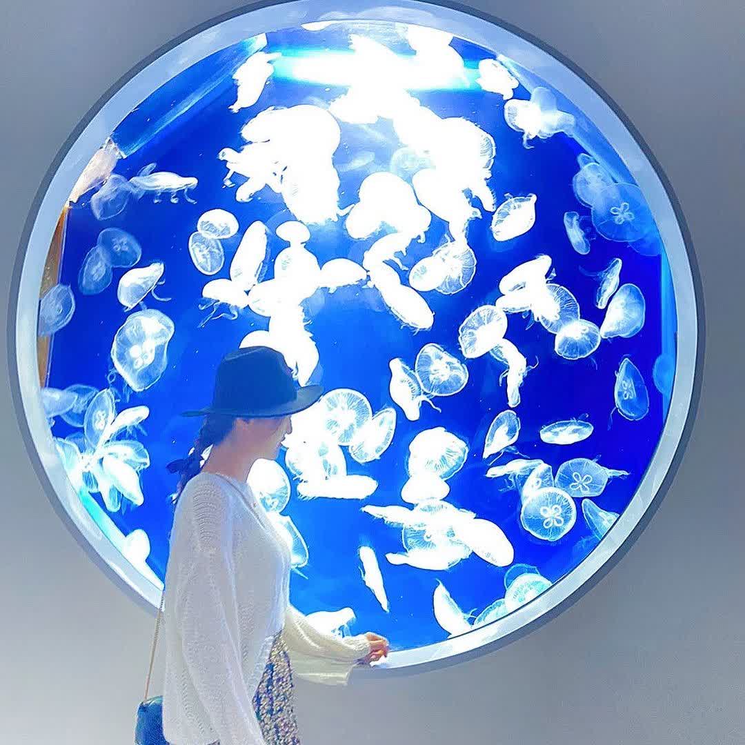 Xpark 水族館 | 去趣 chicTrip
