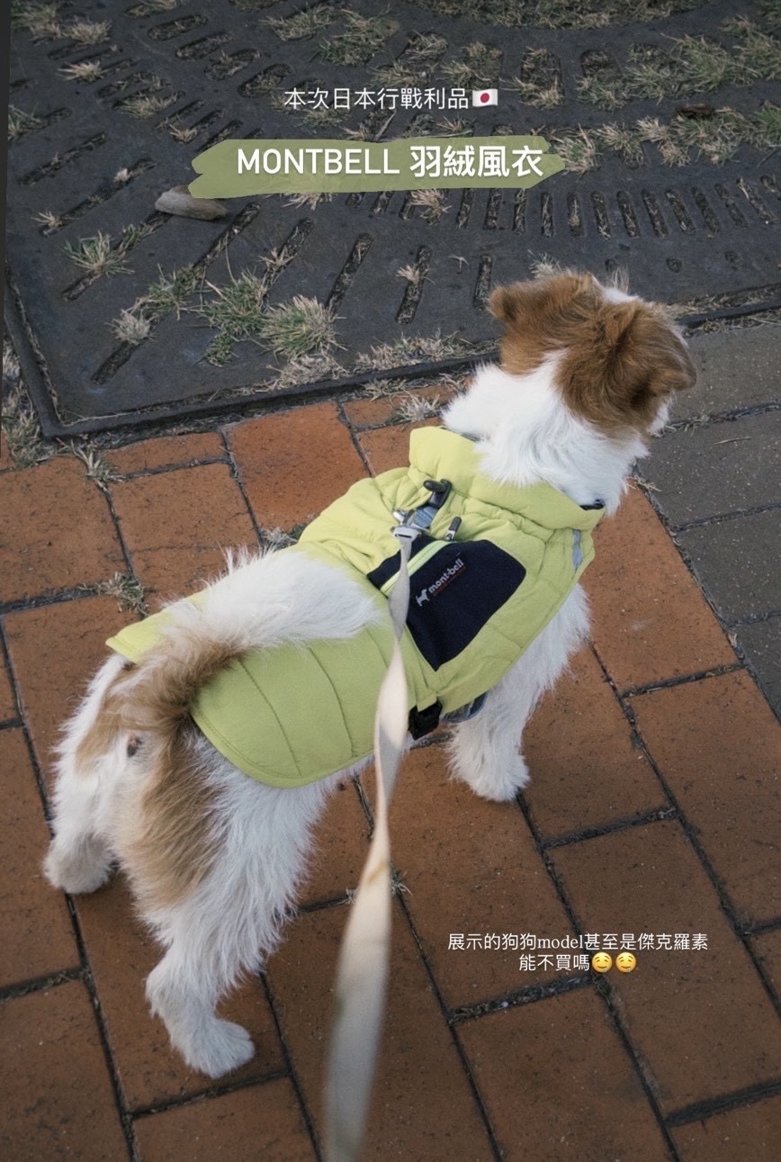 mont-bell 京都店 | 去趣 chicTrip