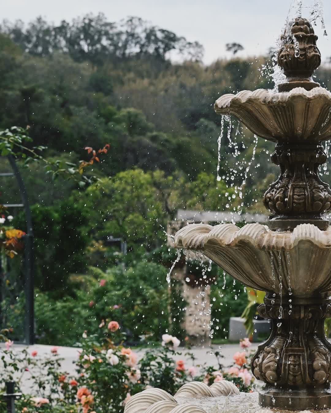 雅聞七里香玫瑰森林 | 去趣 chicTrip