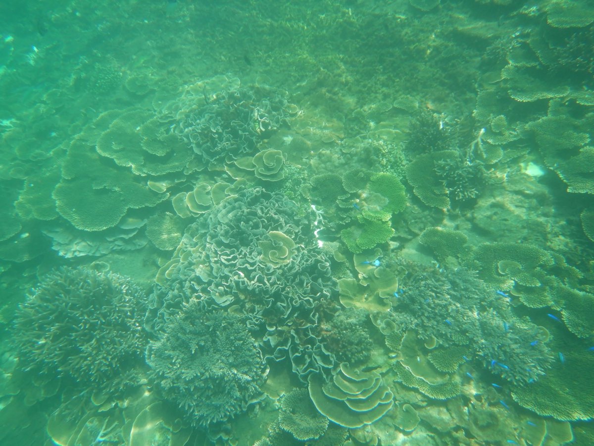 金瓜仔礁（忘憂島） | 去趣 chicTrip