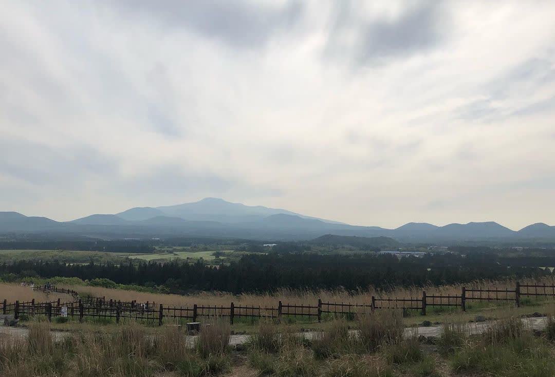 山君不離 | 去趣 chicTrip