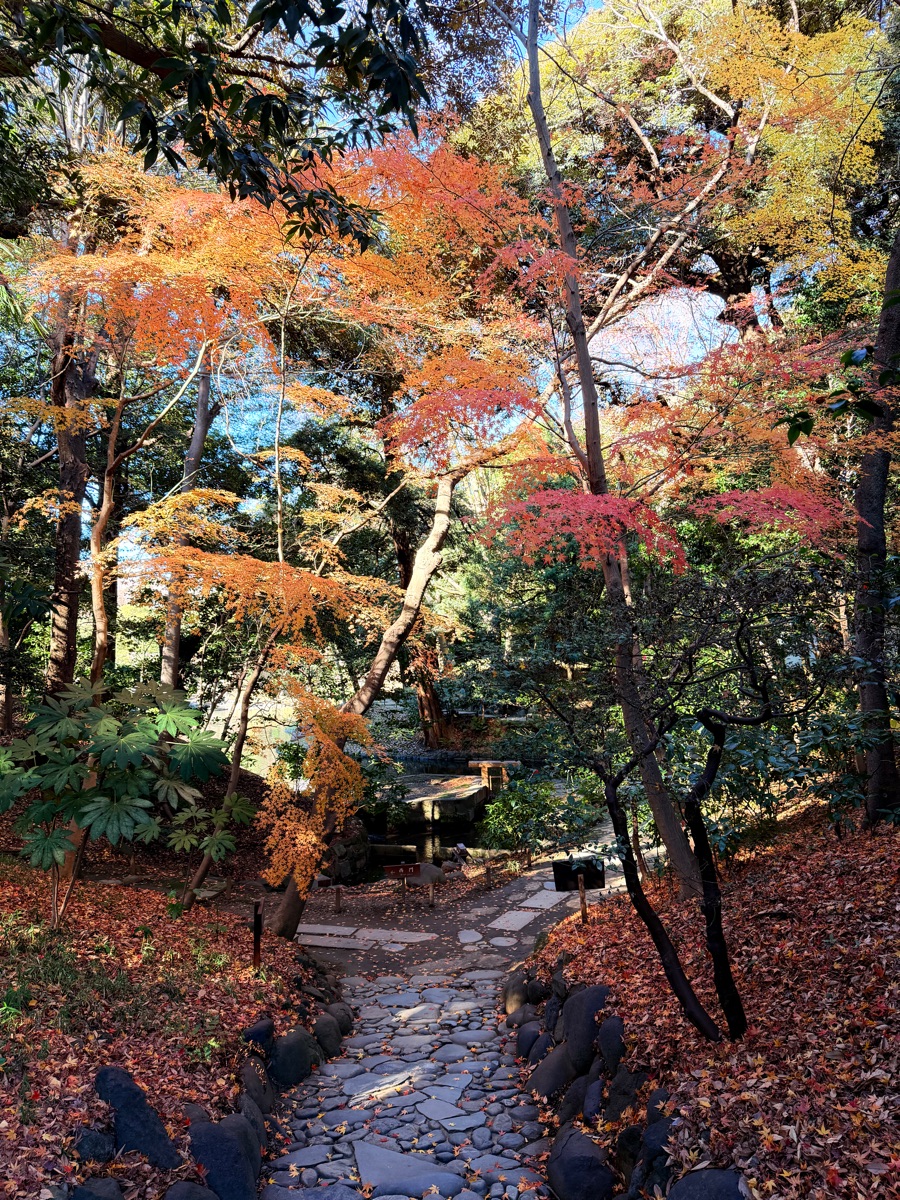 小石川後樂園 | 去趣 chicTrip