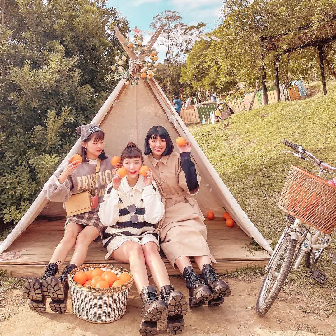 橙香森林 | 去趣 chicTrip