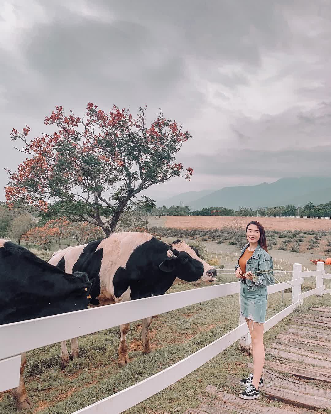 初鹿牧場 | 去趣 chicTrip