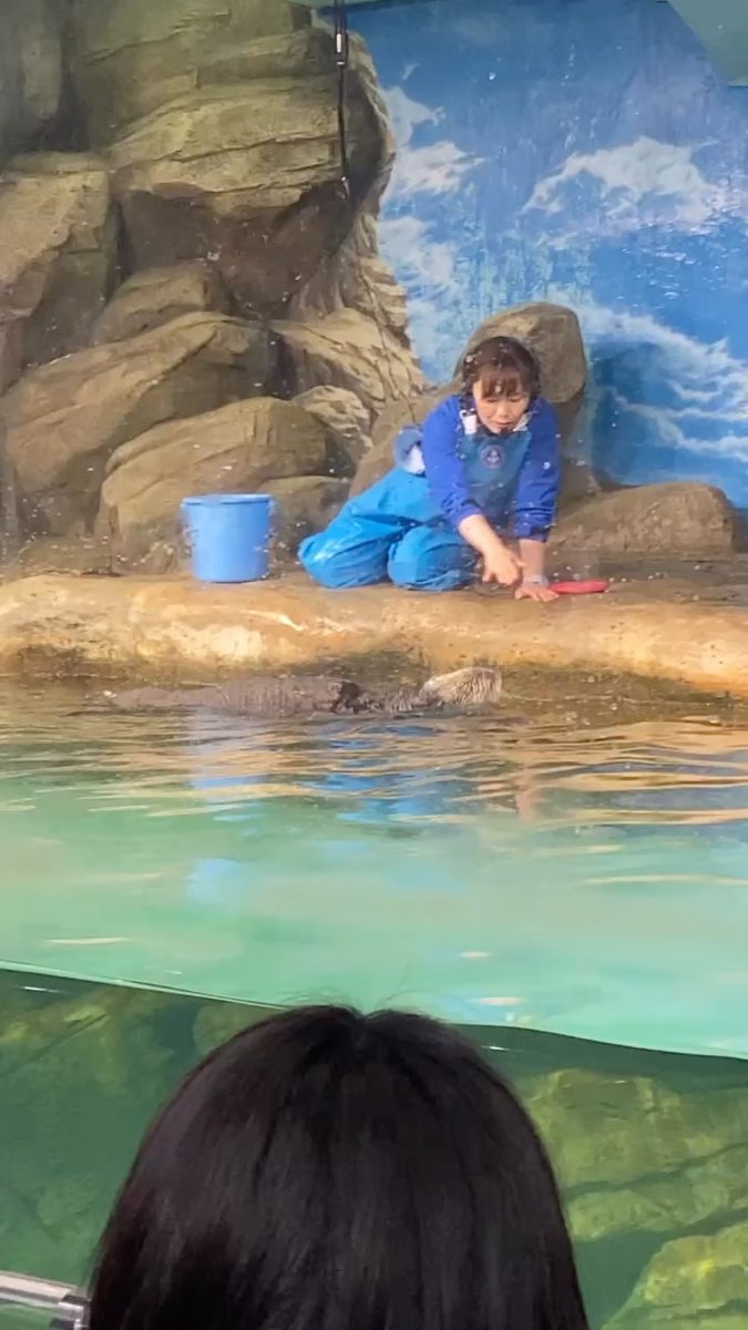 海洋世界海之中道 | 去趣 chicTrip