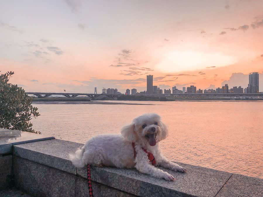 大稻埕碼頭貨櫃市集 | 去趣 chicTrip