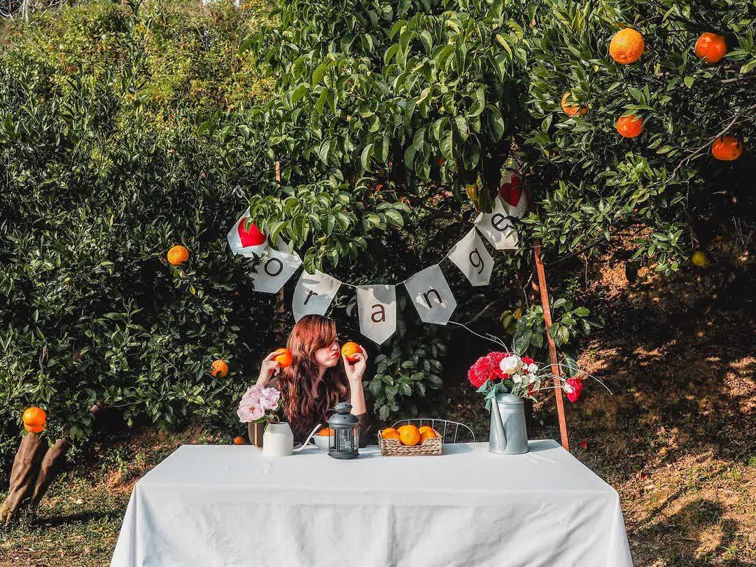 橙香森林 | 去趣 chicTrip