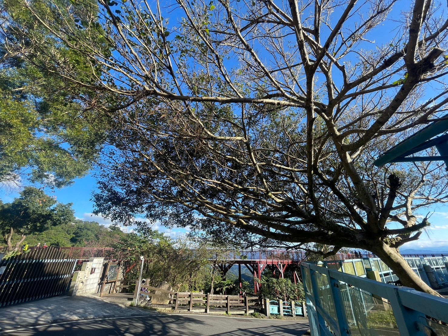 碧山露營場 | 去趣 chicTrip