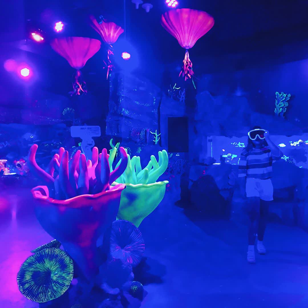 SEA LIFE釜山水族館 | 去趣 chicTrip