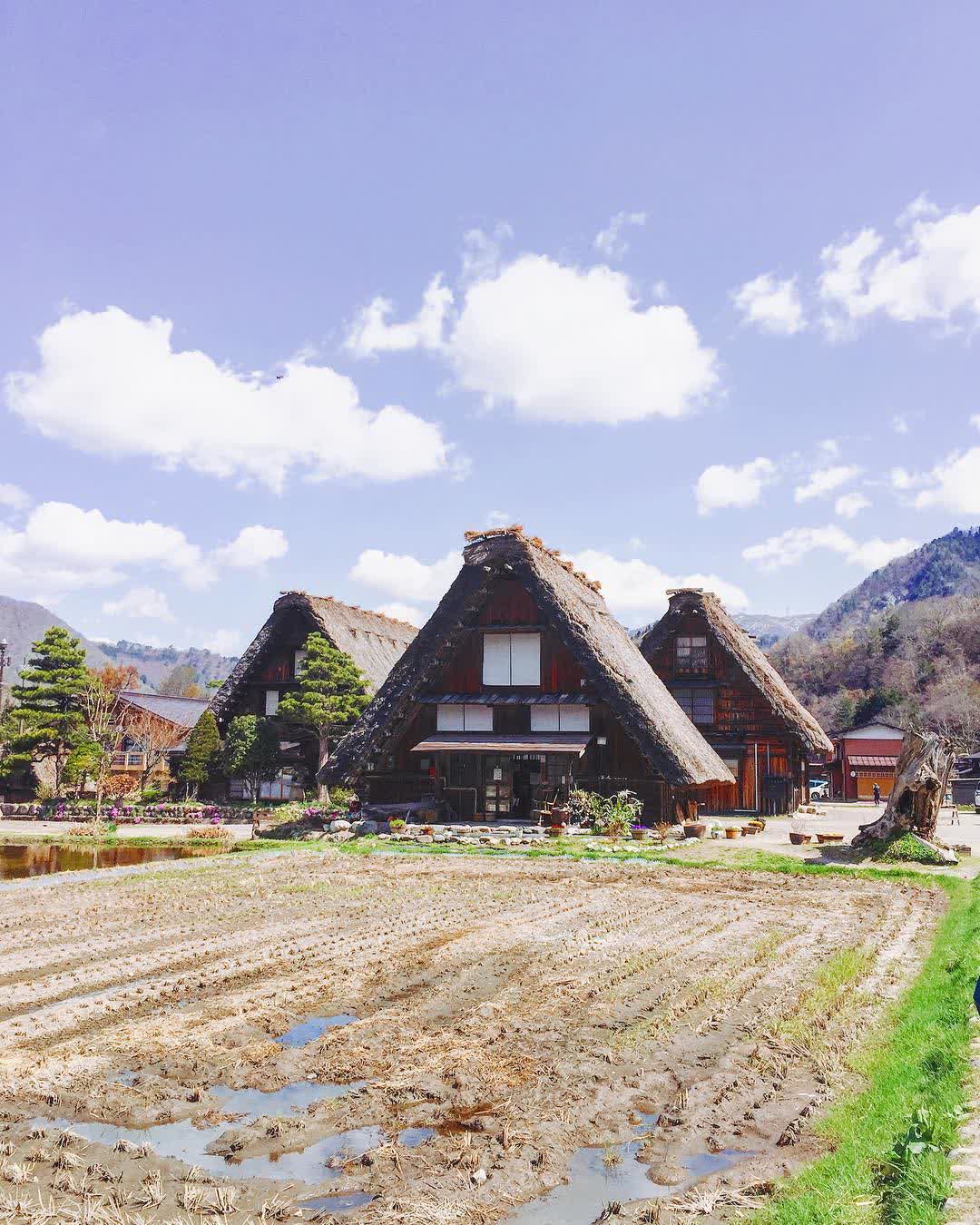 白川鄉合掌造聚落 | 去趣 chicTrip