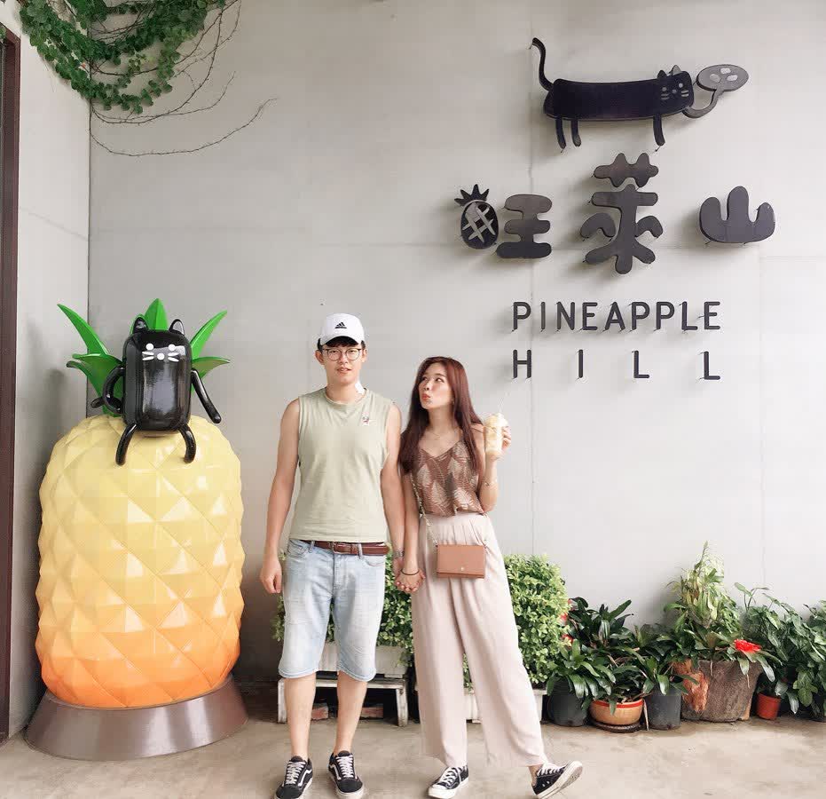 旺萊山-鳳梨文化園區 | 去趣 chicTrip