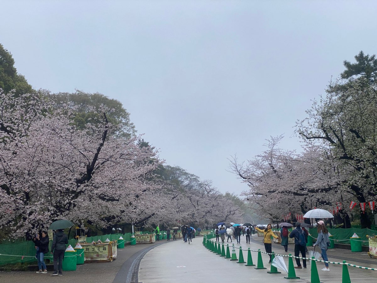 上野恩賜公園 | 去趣 chicTrip