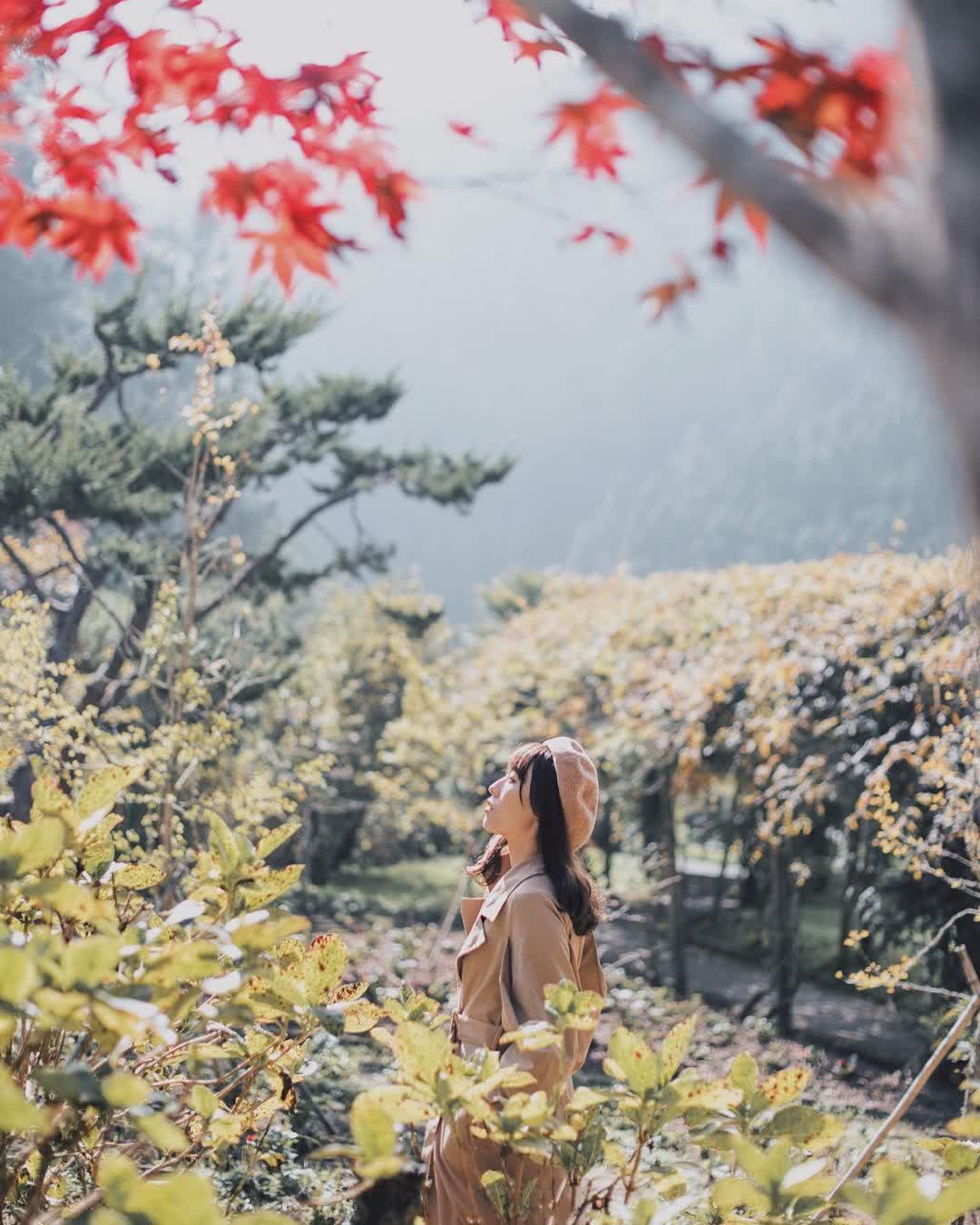 杉林溪森林生態渡假園區 | 去趣 chicTrip