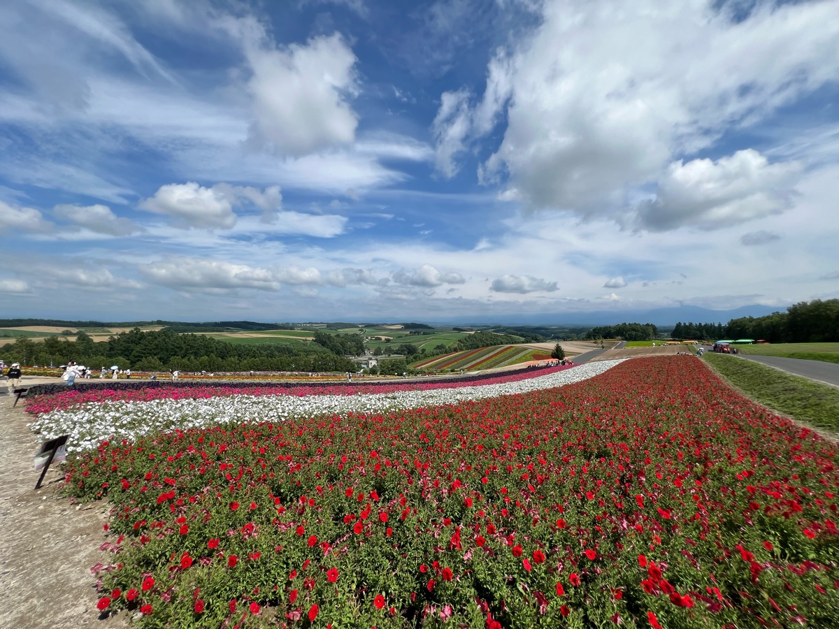 四季彩之丘 | 去趣 chicTrip