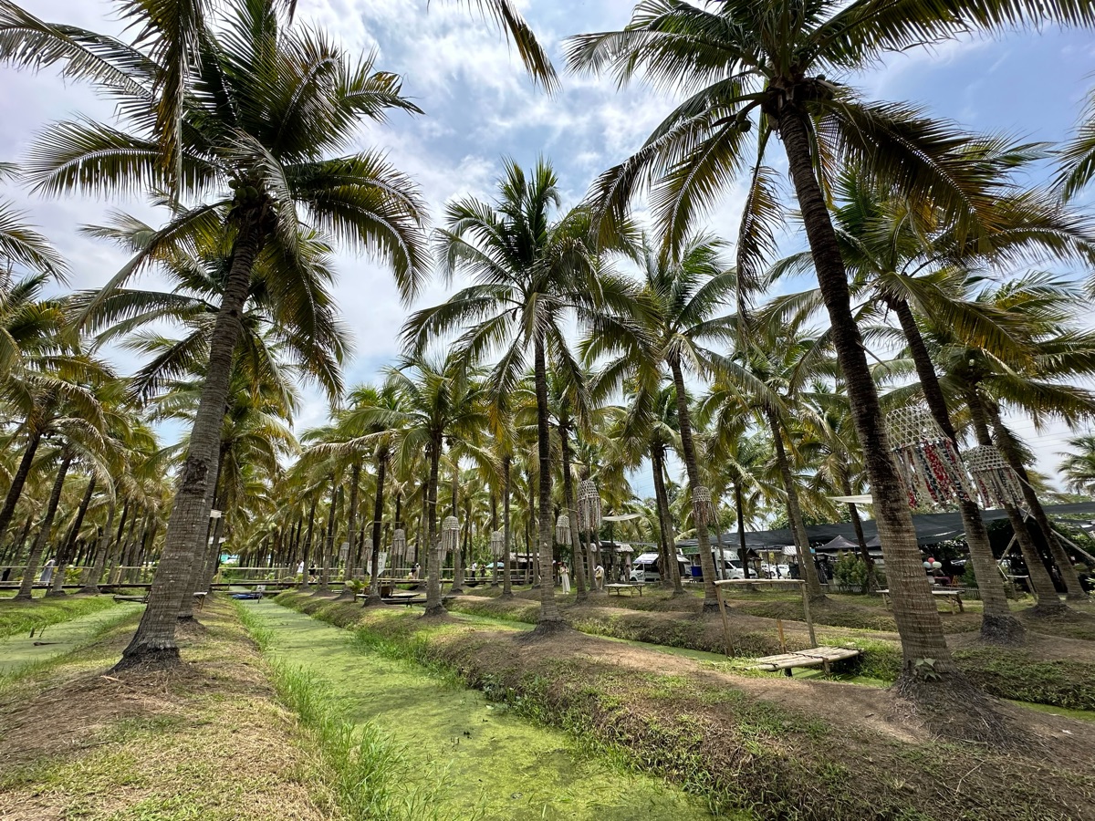 清邁椰林市集 (Coconut Market) | 去趣 chicTrip