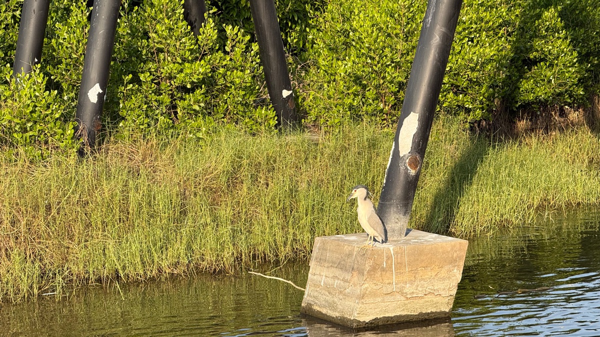 安平樹屋 | 去趣 chicTrip