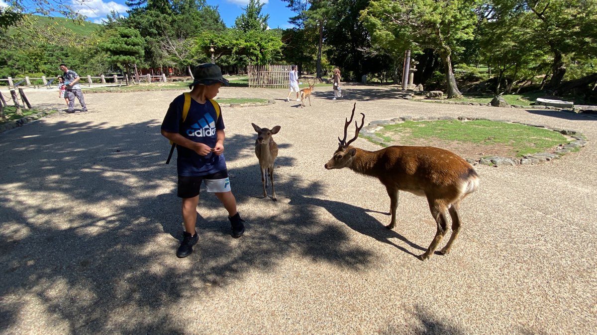 名勝奈良公園 石碑 | 去趣 chicTrip