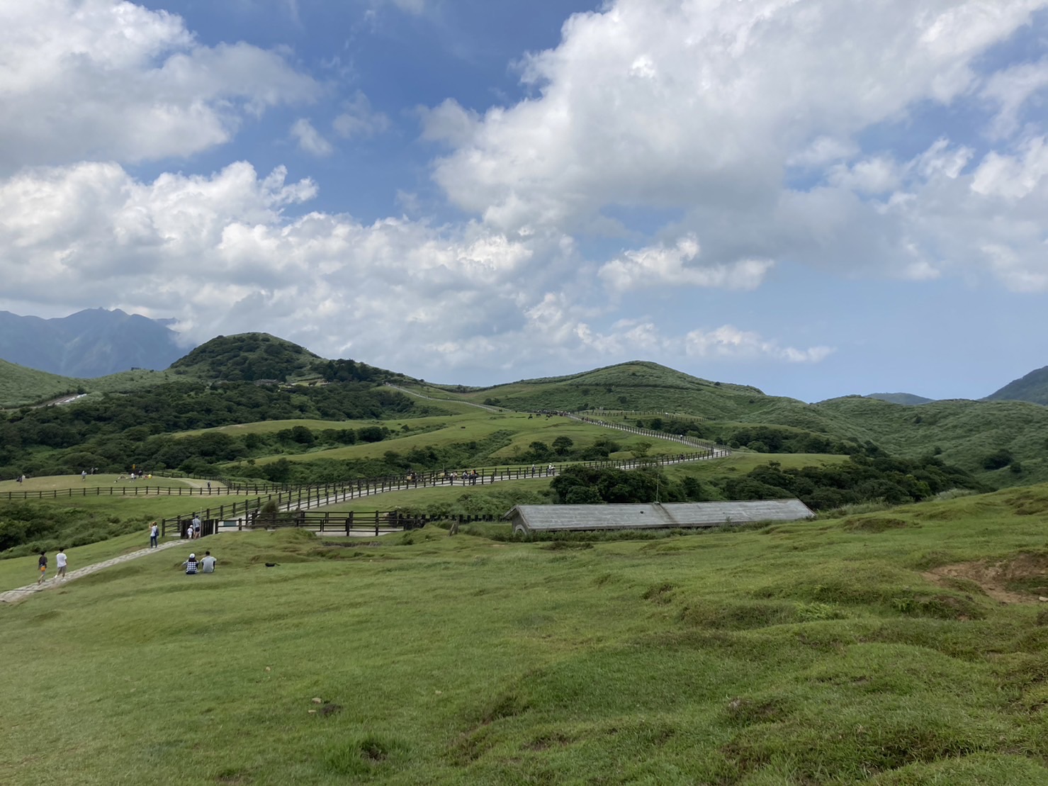 擎天崗 | 去趣 chicTrip