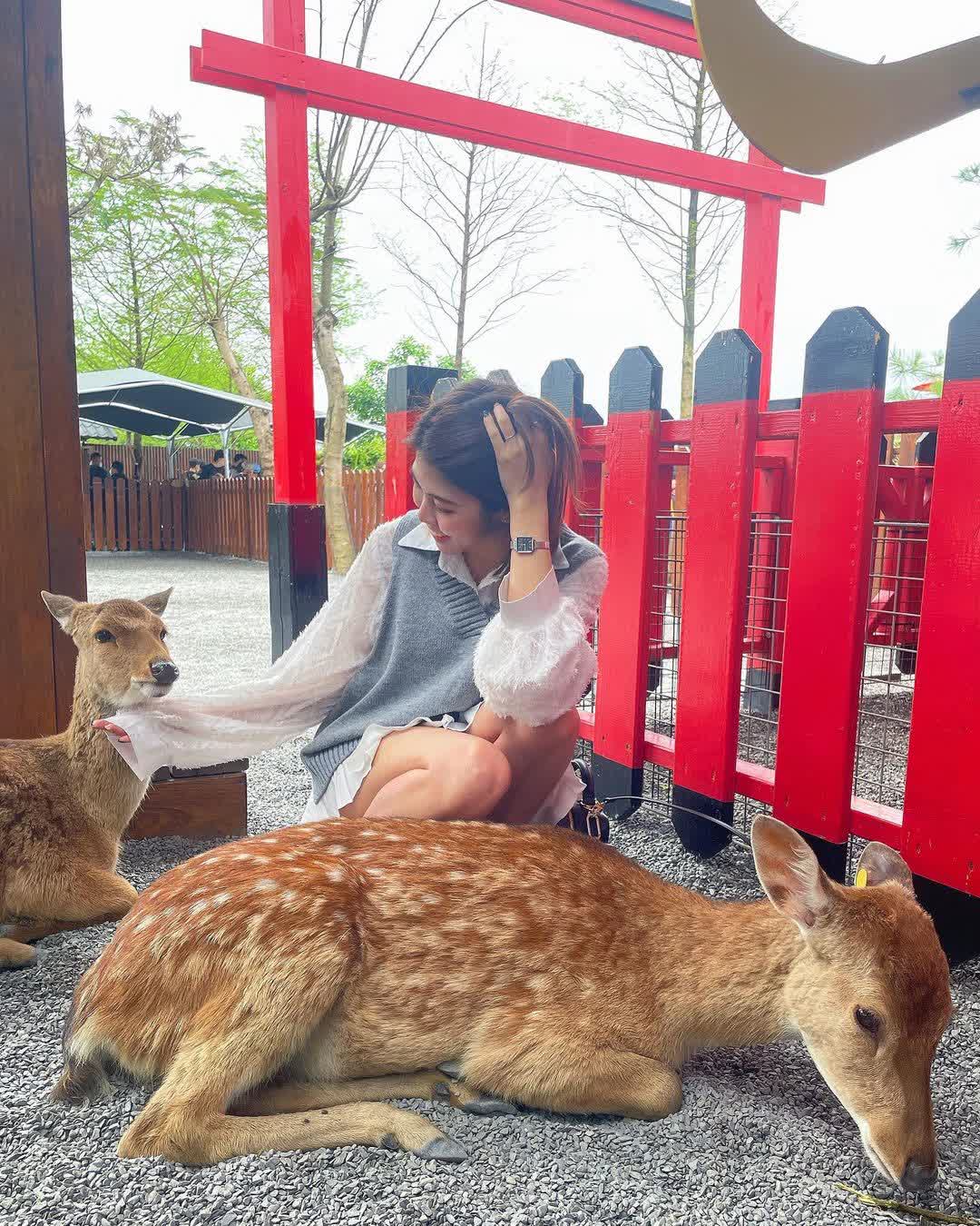 張美阿嬤農場（月森甯手作工坊） | 去趣 chicTrip