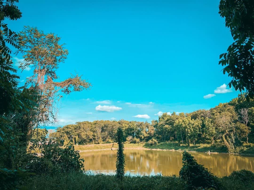 川文山森林保育農場