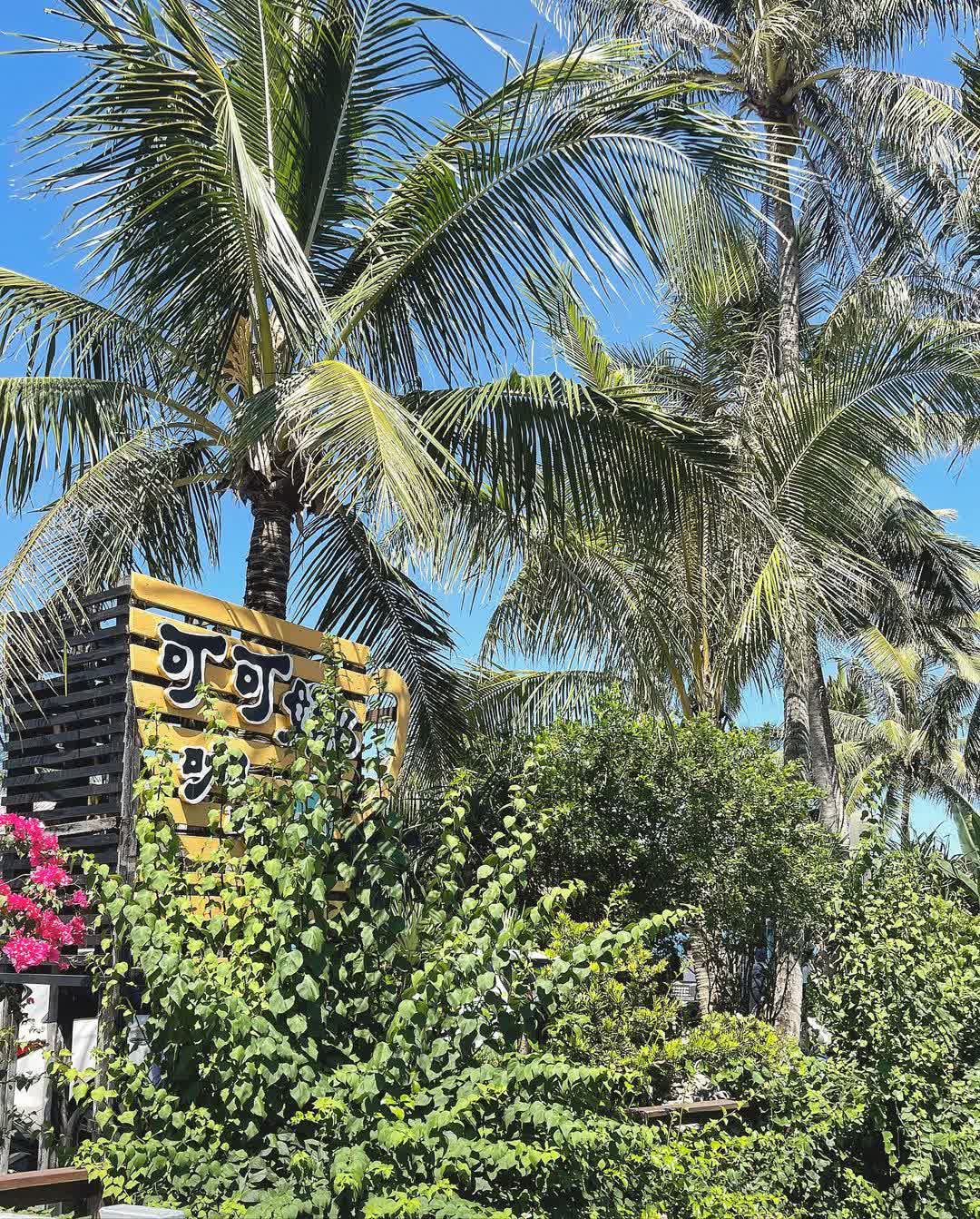 可可娜咖啡🌴最後點餐5PM🌞 | 去趣 chicTrip