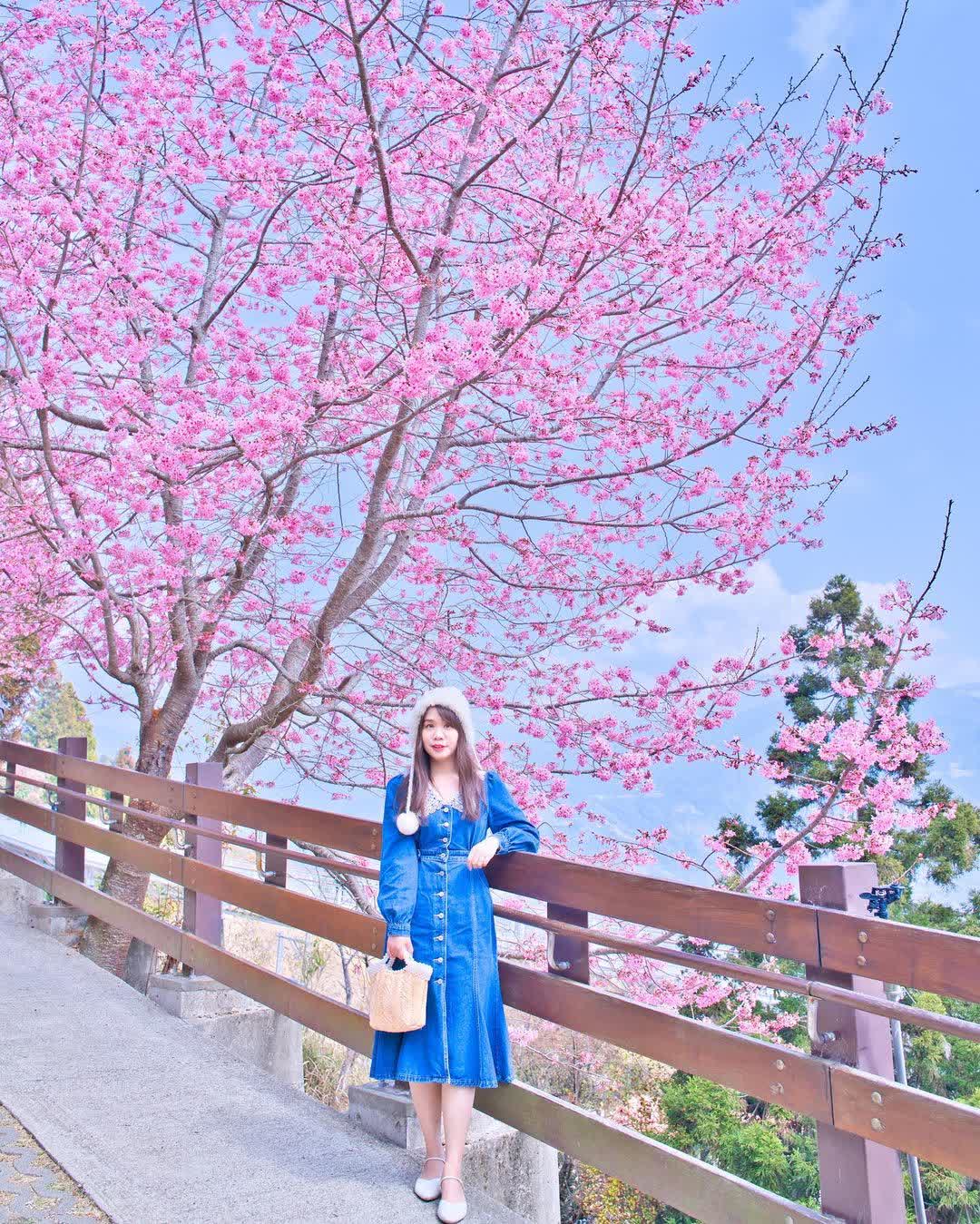 清境農場青青草原 | 去趣 chicTrip