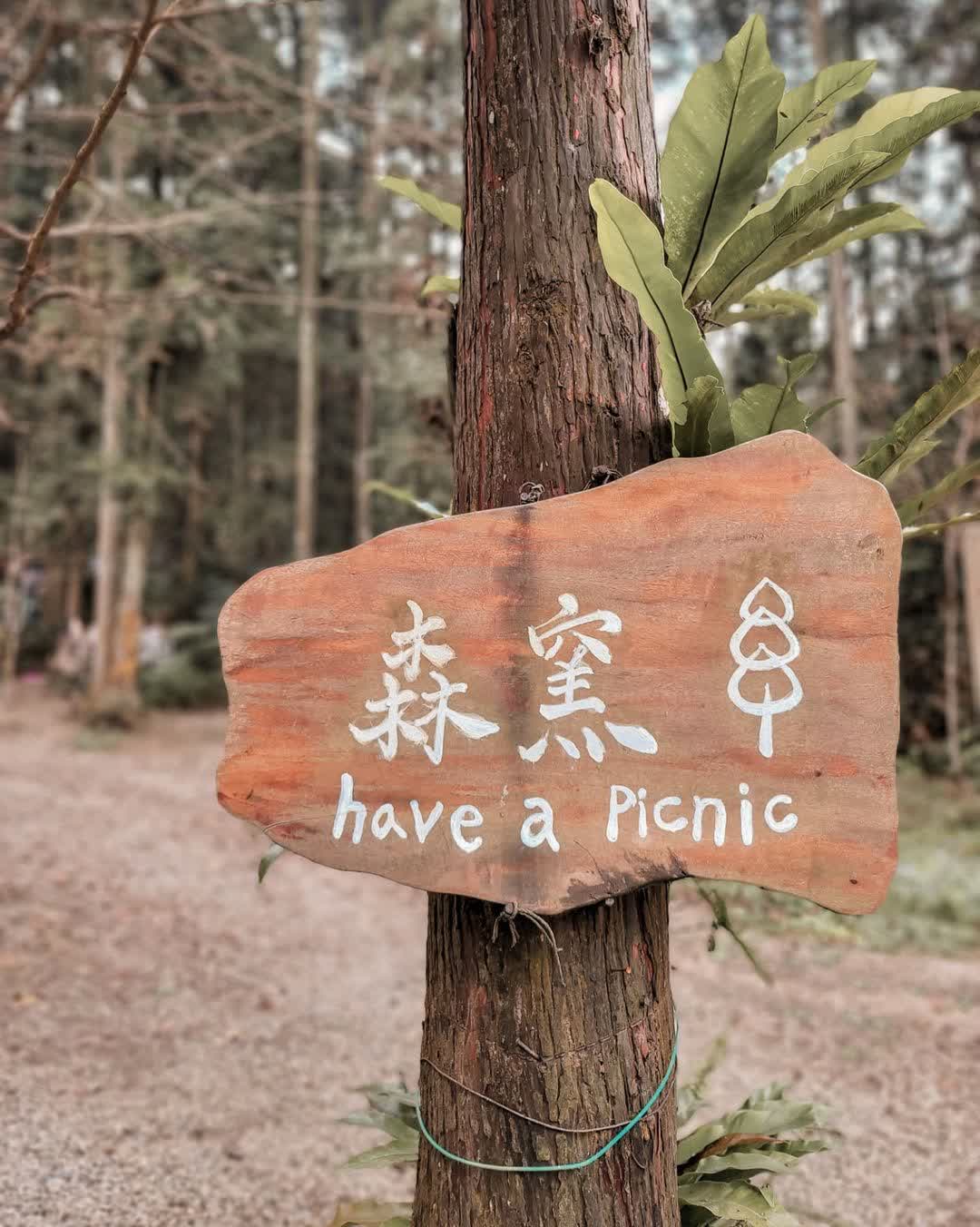 森窯have a Picnic | 去趣 chicTrip