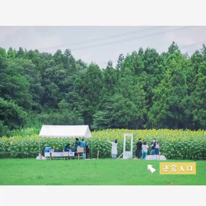 成田 夢牧場 | 去趣 chicTrip