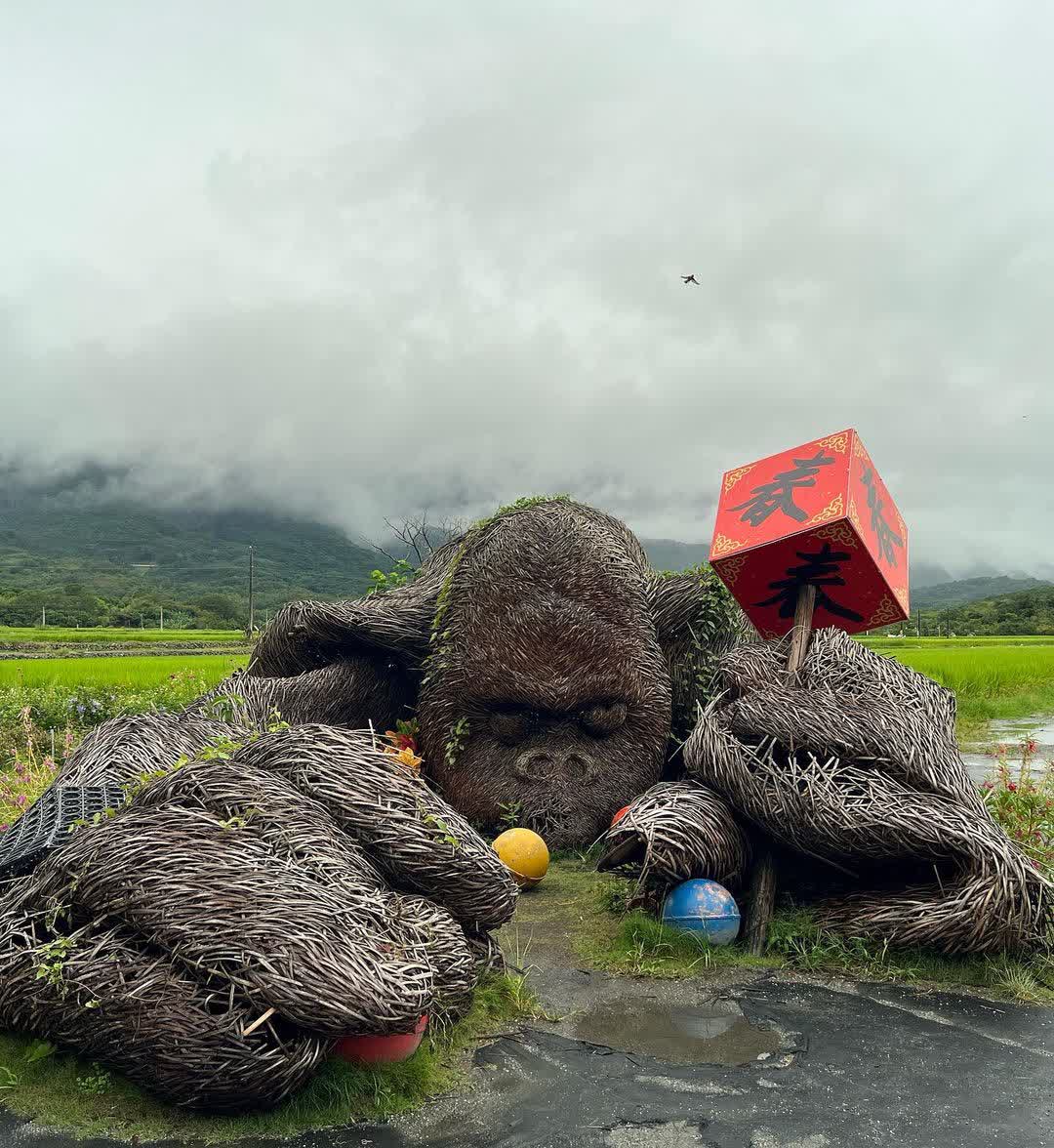 富里花海景觀區  (花蓮縣富里鄉農會旁) | 去趣 chicTrip