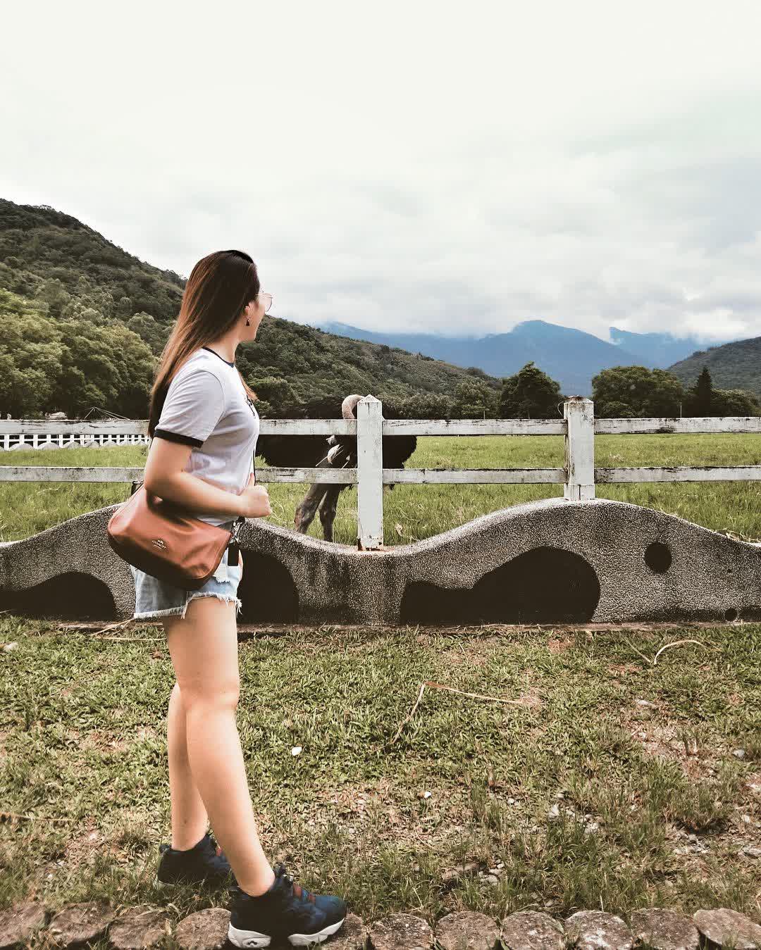 瑞穗牧場 | 去趣 chicTrip