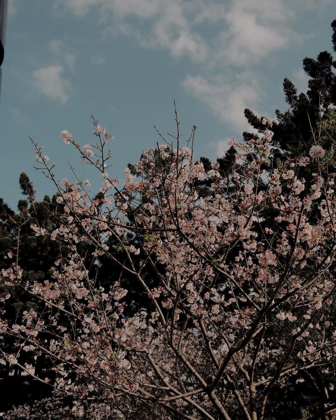 國立中正紀念堂 | 去趣 chicTrip