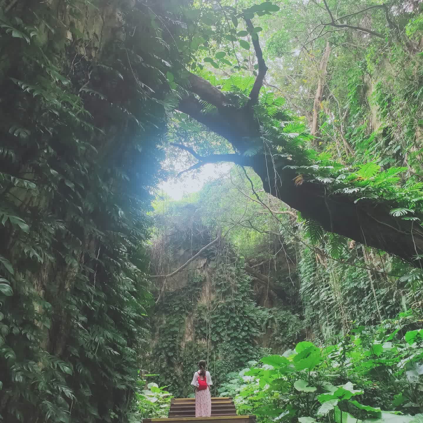 山豬溝生態步道 | 去趣 chicTrip