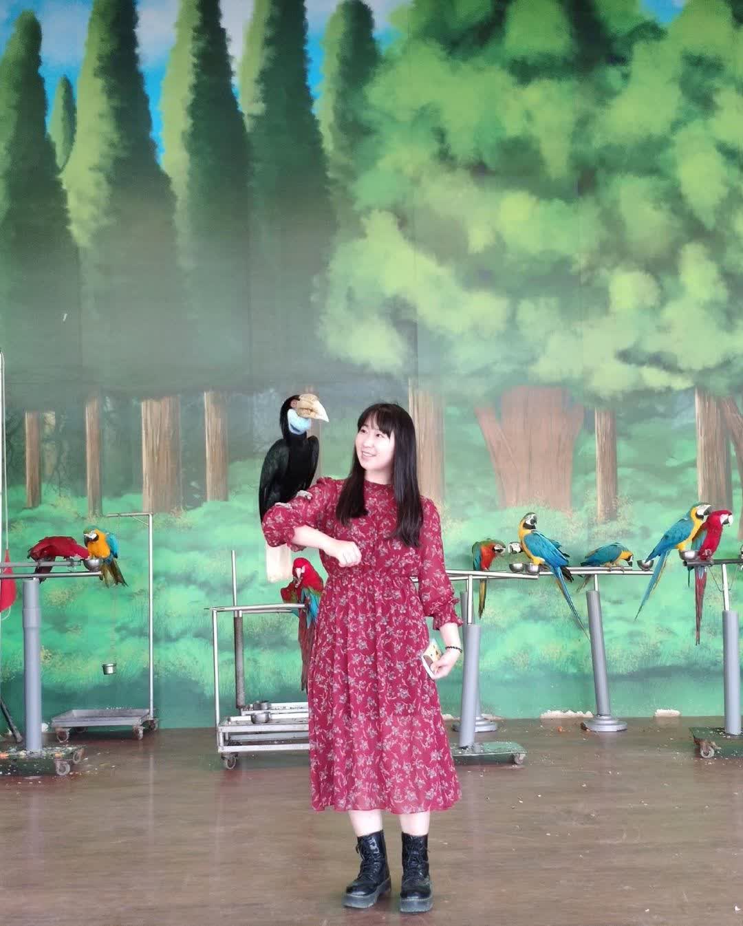 頑皮世界野生動物園 | 去趣 chicTrip