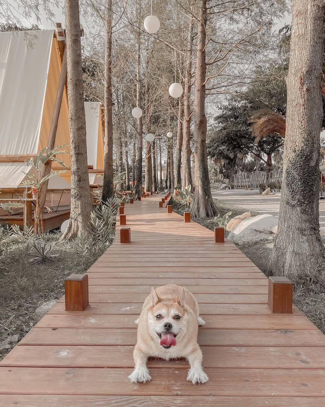 淨園農場 | 去趣 chicTrip