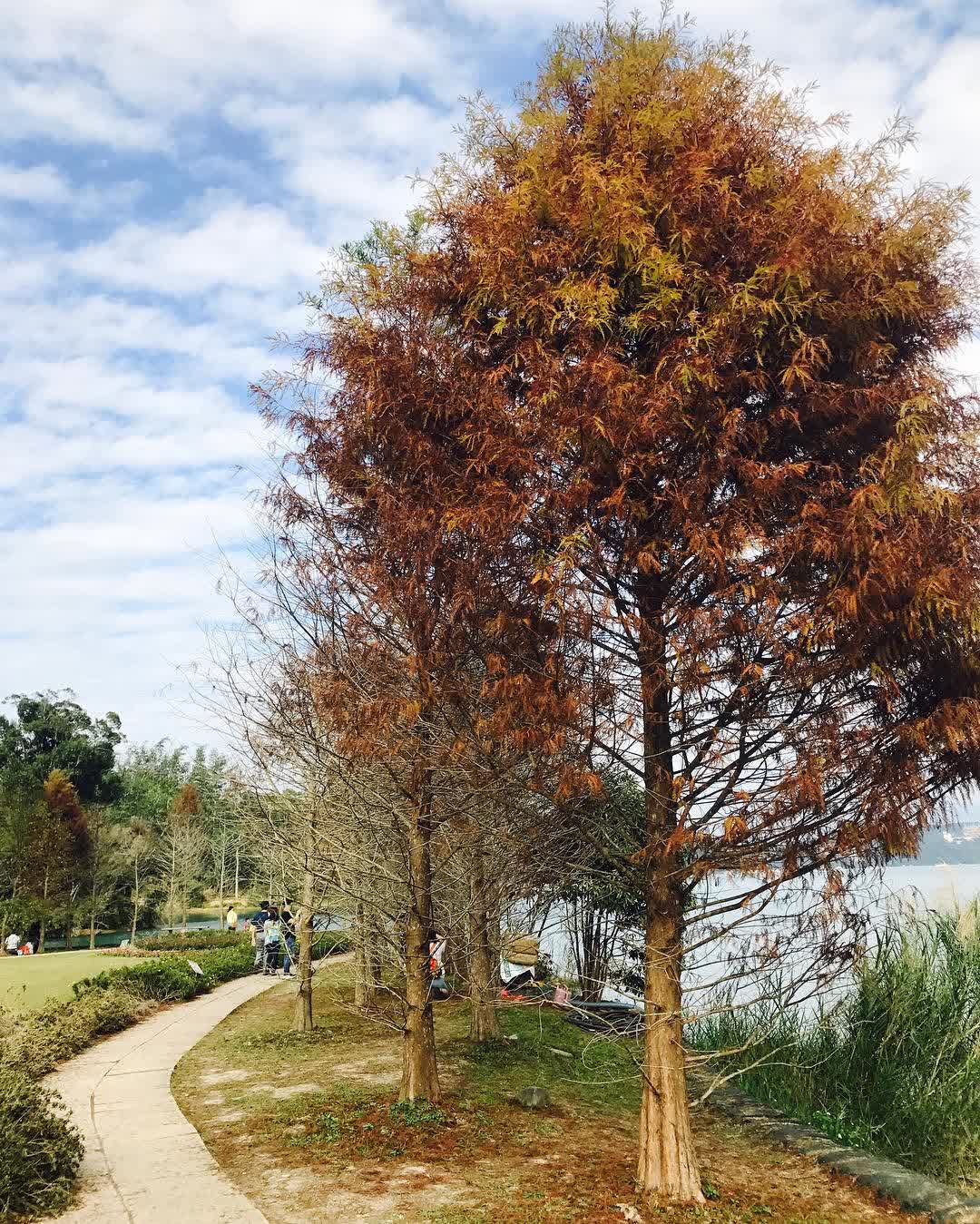 向山行政暨遊客中心 | 去趣 chicTrip