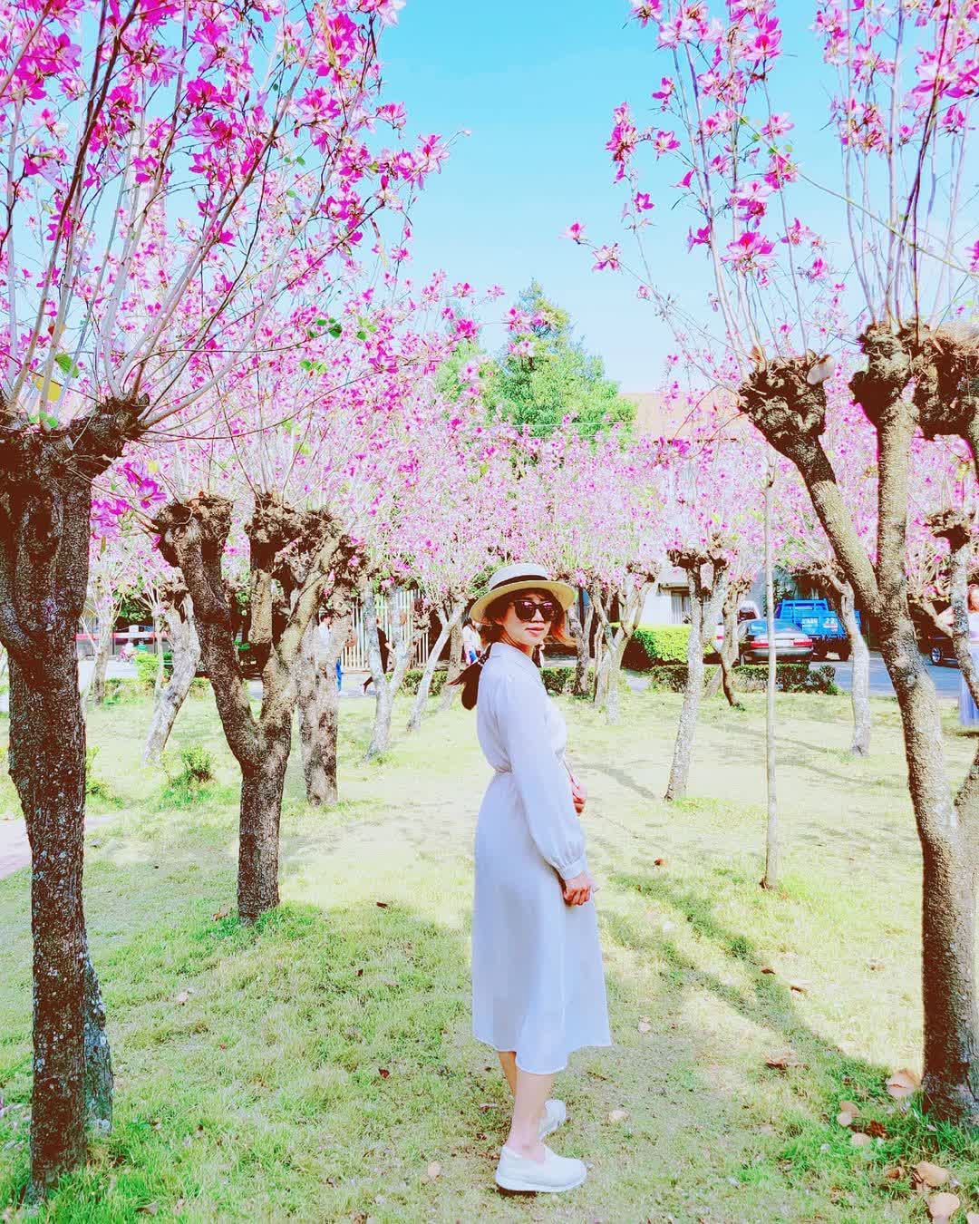 溪湖糖廠 | 去趣 chicTrip