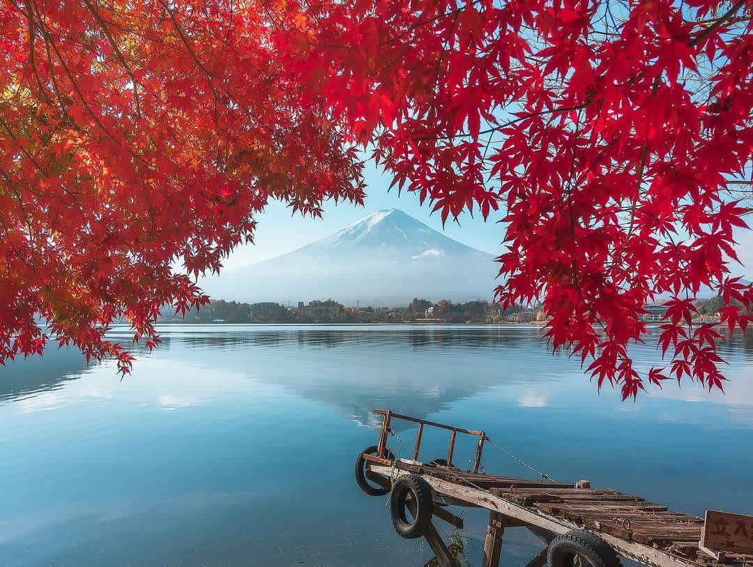 河口湖 | 去趣 chicTrip