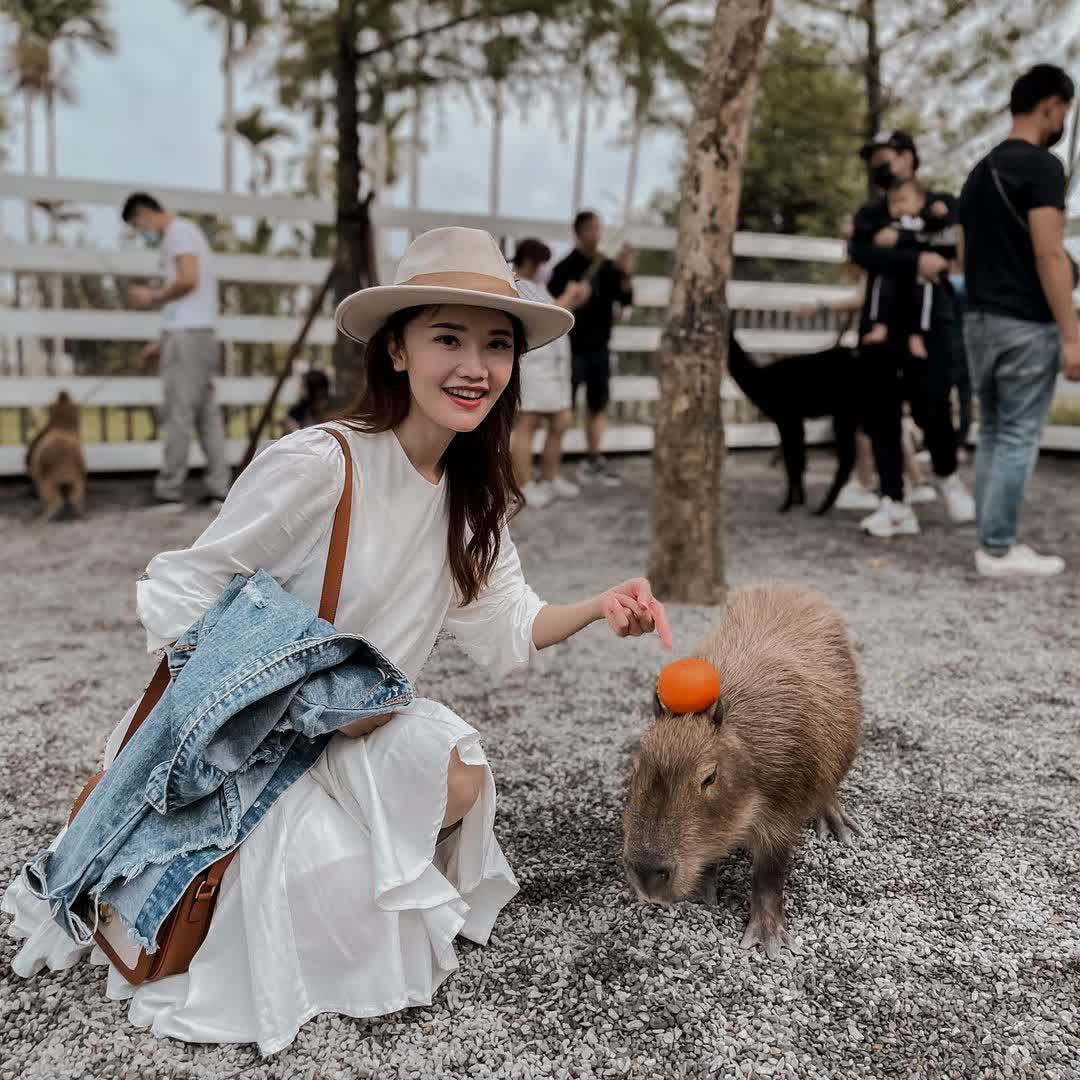 張美阿嬤農場（月森甯手作工坊） | 去趣 chicTrip